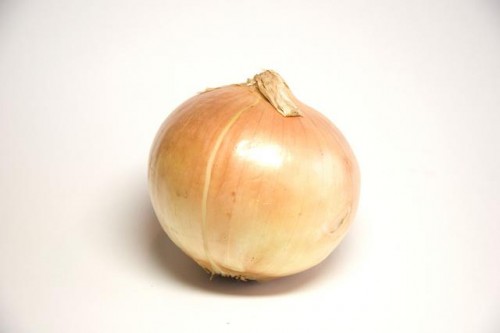 cebolla ilustre