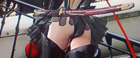 bayonettacostumes