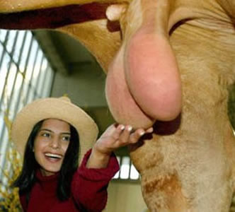 woman_big_balls