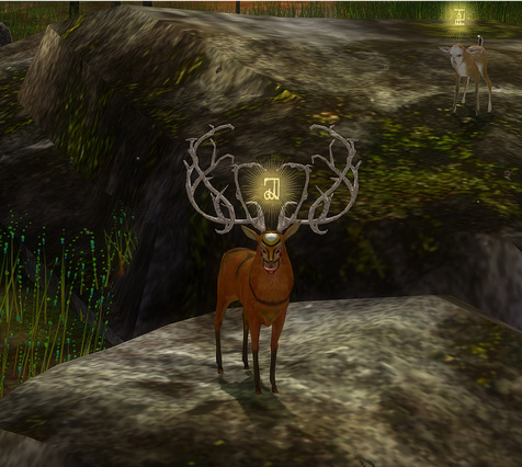 The Endless Forest