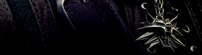 The Witcher 2
