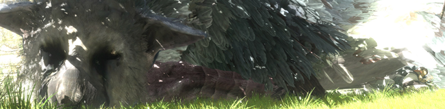 last guardian