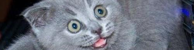 asd